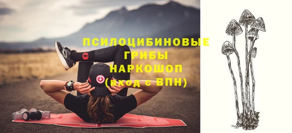 винт Аркадак