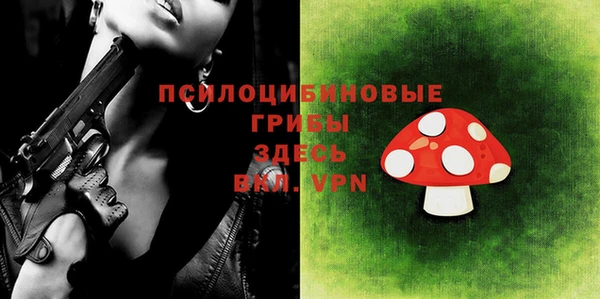 винт Аркадак