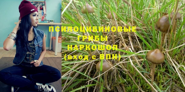 винт Аркадак